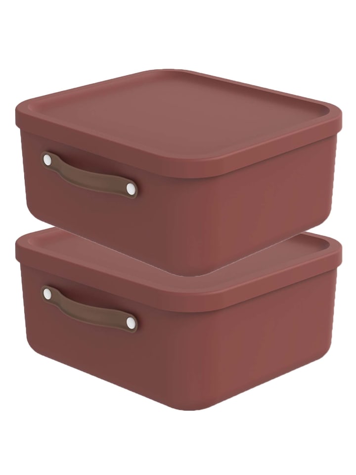 Rotho 2er-Set Kiste mit Deckel Maloja 20l in Iron rot günstig kaufen onesize