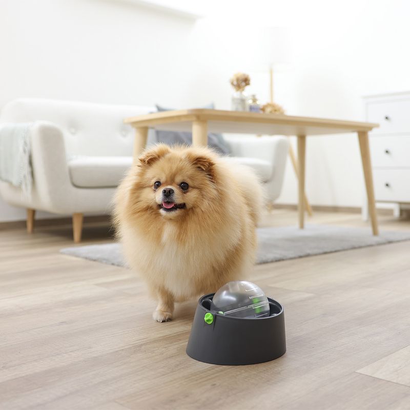 Kerbl Pet Multifeeder 3-in-1 Set zu TOP-Preisen