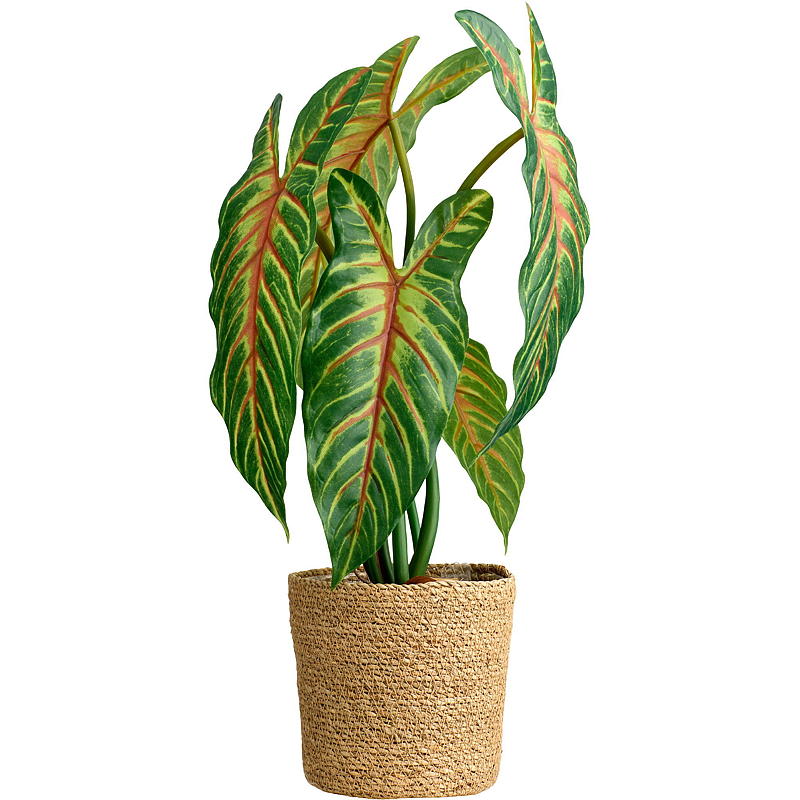 Home Xanthosoma plante 50 cm kunstig