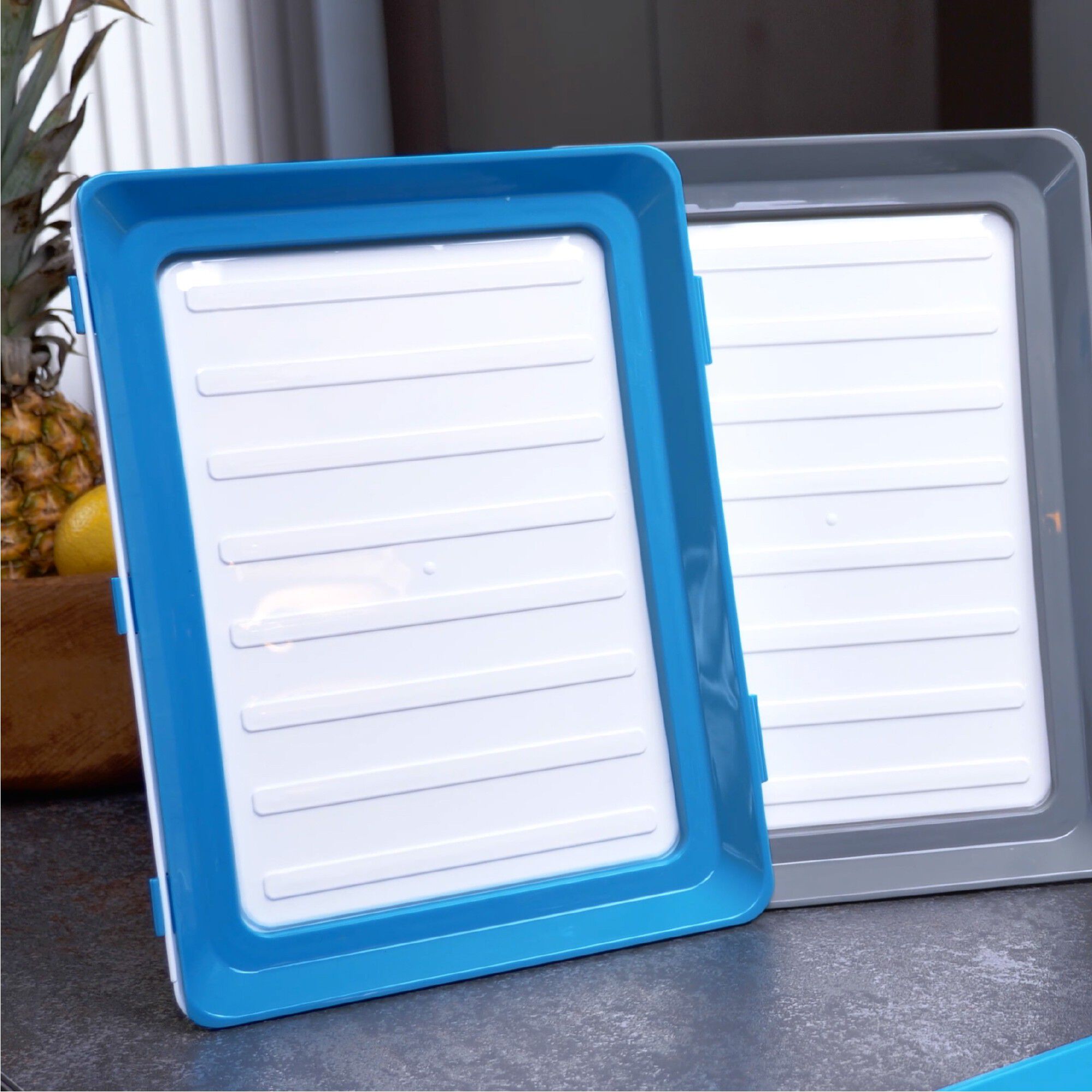 Plateau de conservation Clever Tray