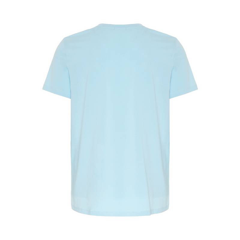 Chiemsee T-Shirt T-Shirt Herren