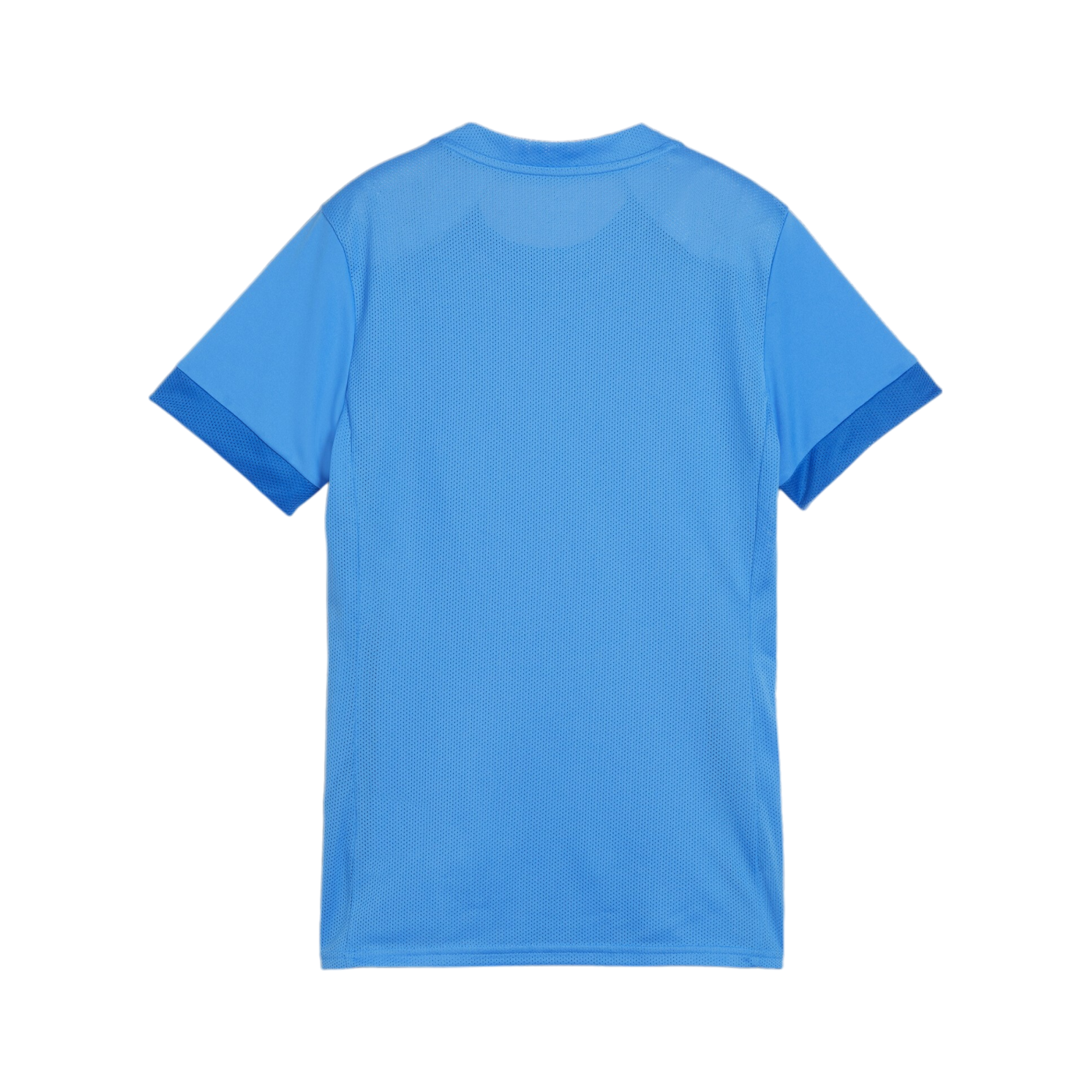 PUMA teamGOAL Matchday Trikot Damen Blau Weiss F02