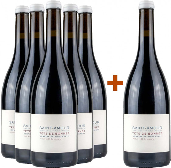 5+1 Paket Saint-Amour - Domaine de Boischampt