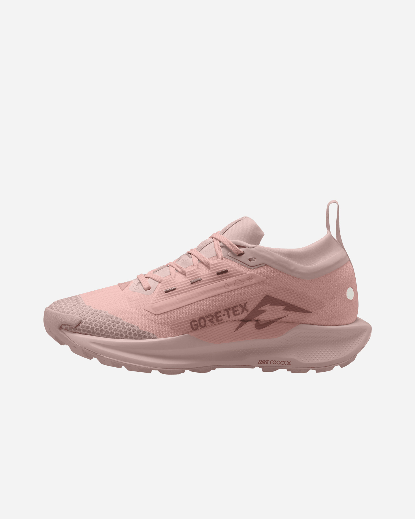 Buty sportowe Nike Pegasus Trail 5 Gore Tex W FQ0912-601