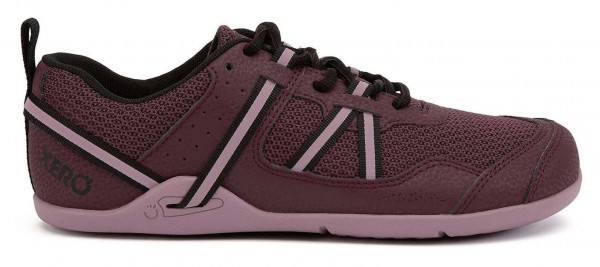 Xero |f ~ Prio ~ Fig/Elderberry