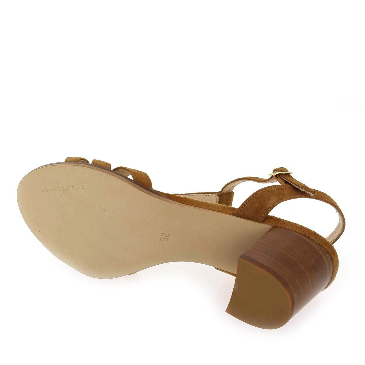 Sofia Costa  2263 - Cognac