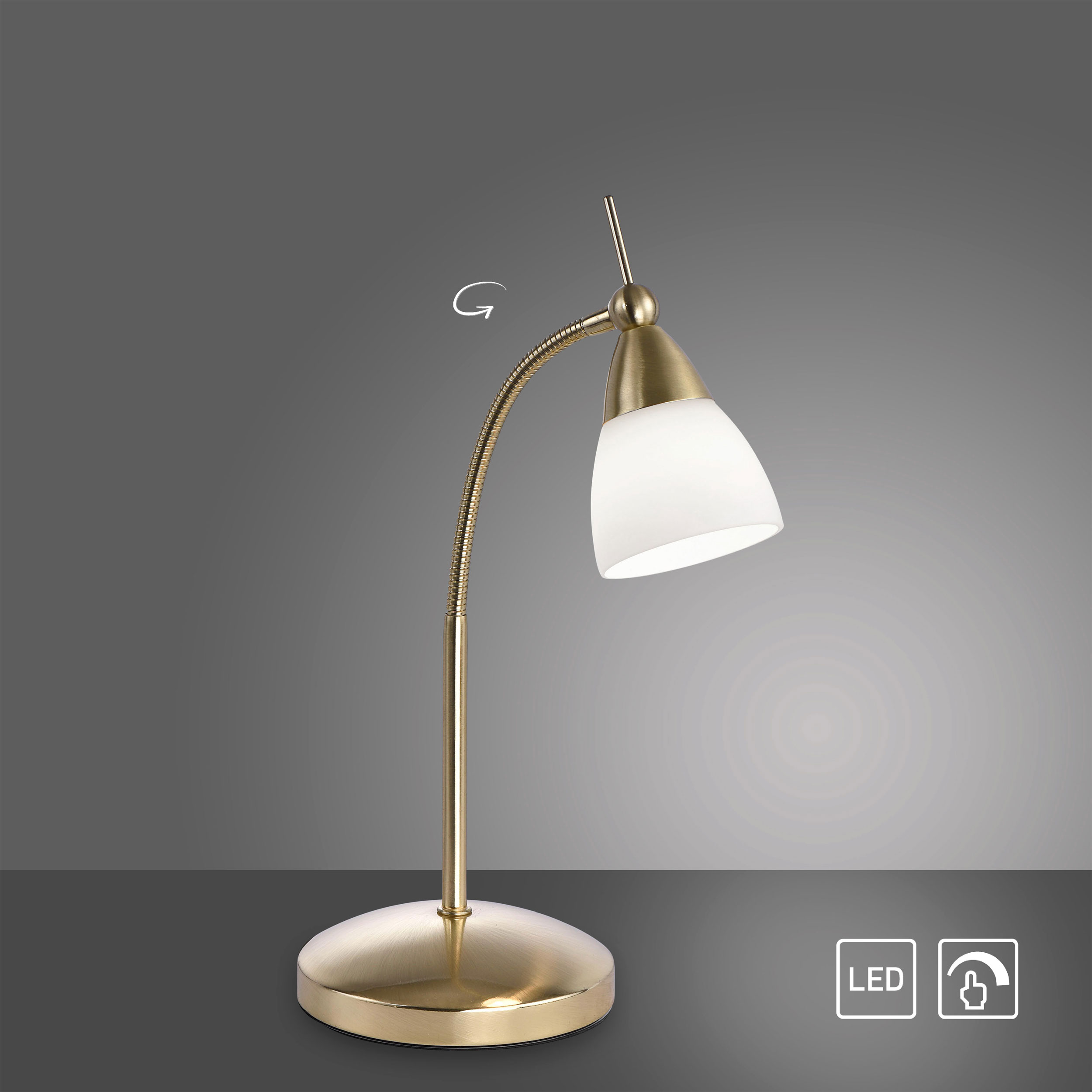 Paul NeuhausLED-Tischleuchte 1flg