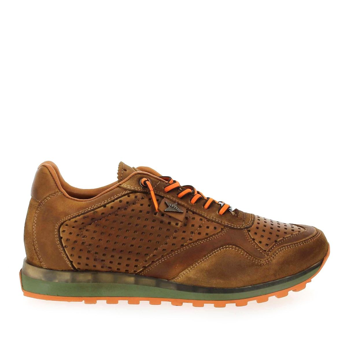 Cetti  C848 H22 - camel