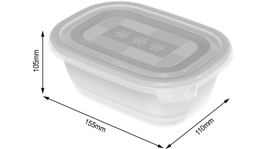 rotho Gefrierdosen Set Freeze 4-tlg. 0,5l transparent