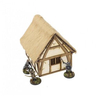 Anglo-Saxon House 1