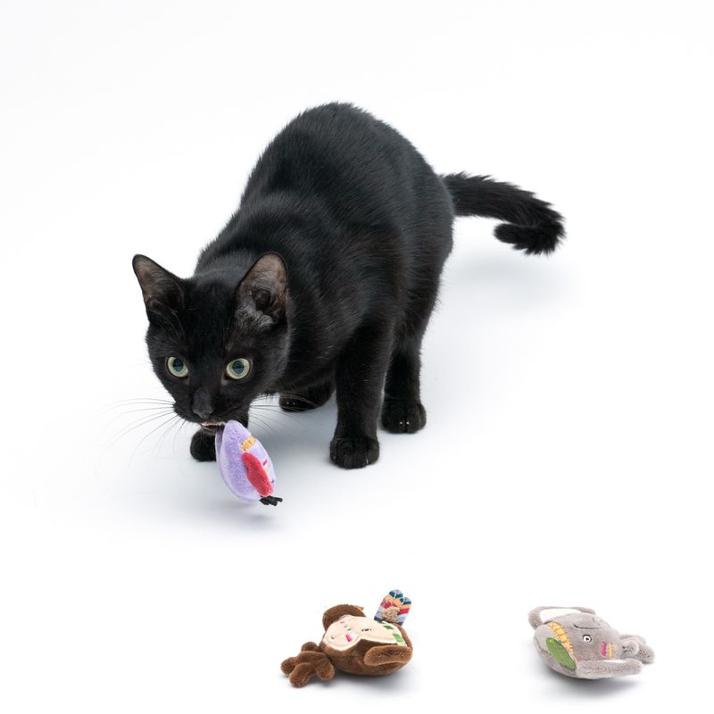 TIAKI Elektronisches Katzenspielzeug-Set Jungle Buddies | bitiba