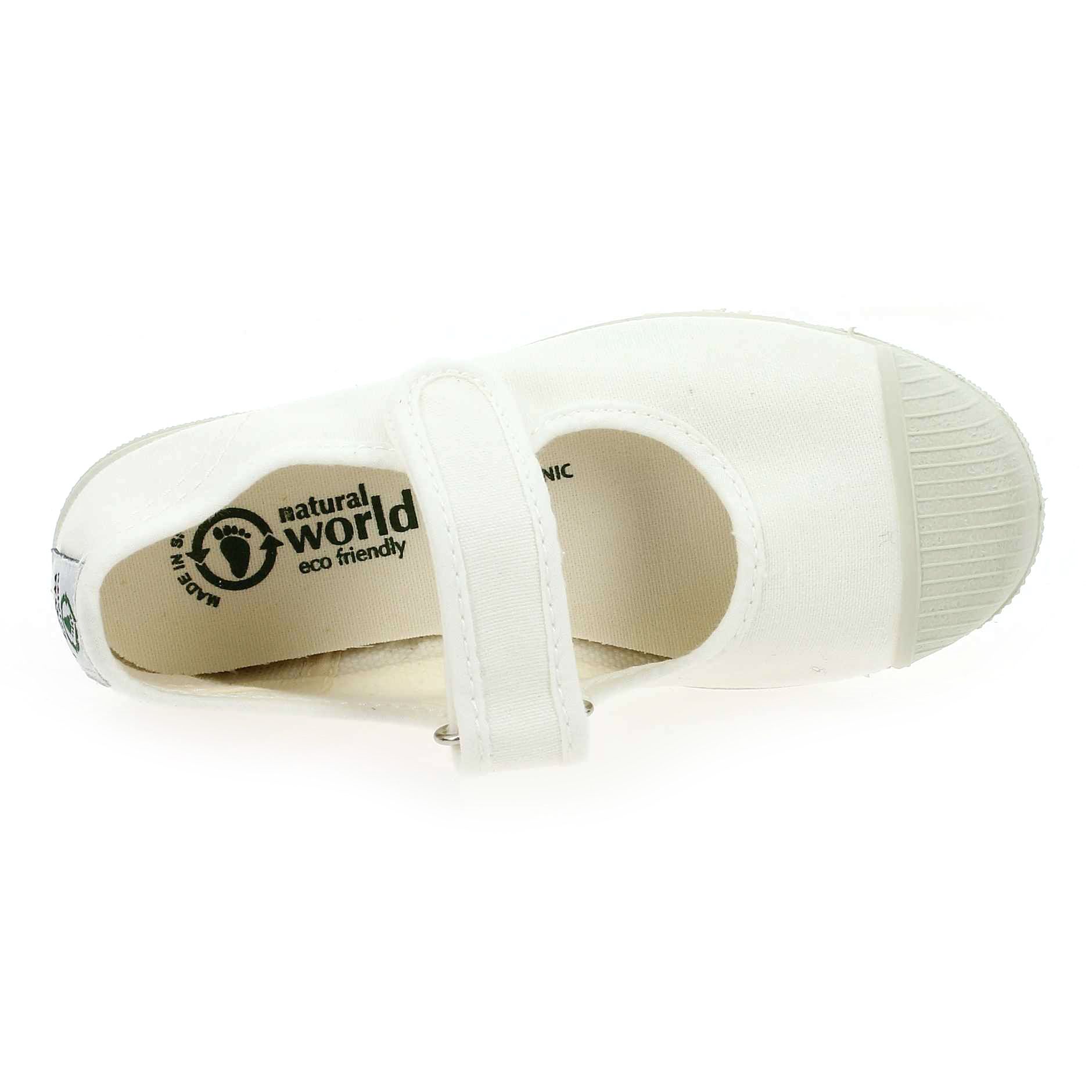 Natural world  476 - Blanc