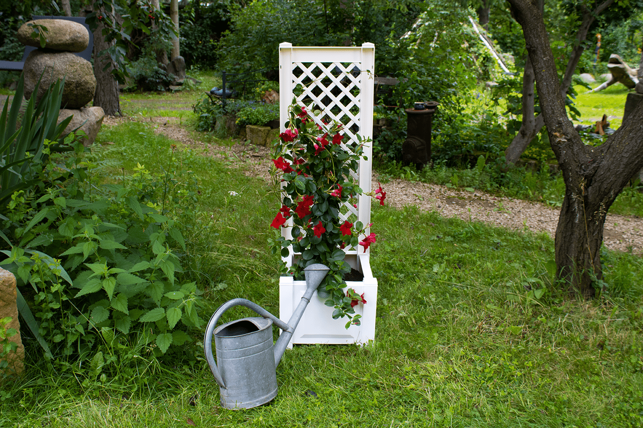 KHW KHW Pflanzkasten 43 cm mit Spalier, weiß