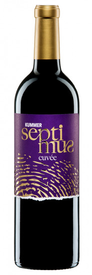 2019 Cuvée SEPTIMUS trocken - Kummer