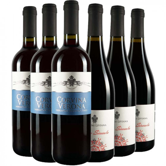 Rotwein-Paket - Azienda Agricola Falconi Liviana