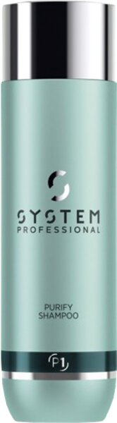 System Professional LipidCode Purify Shampoo P1 Shampoo