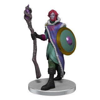 Critical Role: The Mighty Nein Boxed Set (pre-painted) (9)