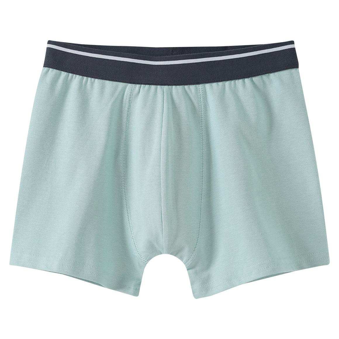 5 Jungen Boxer in verschiedenen Dessins