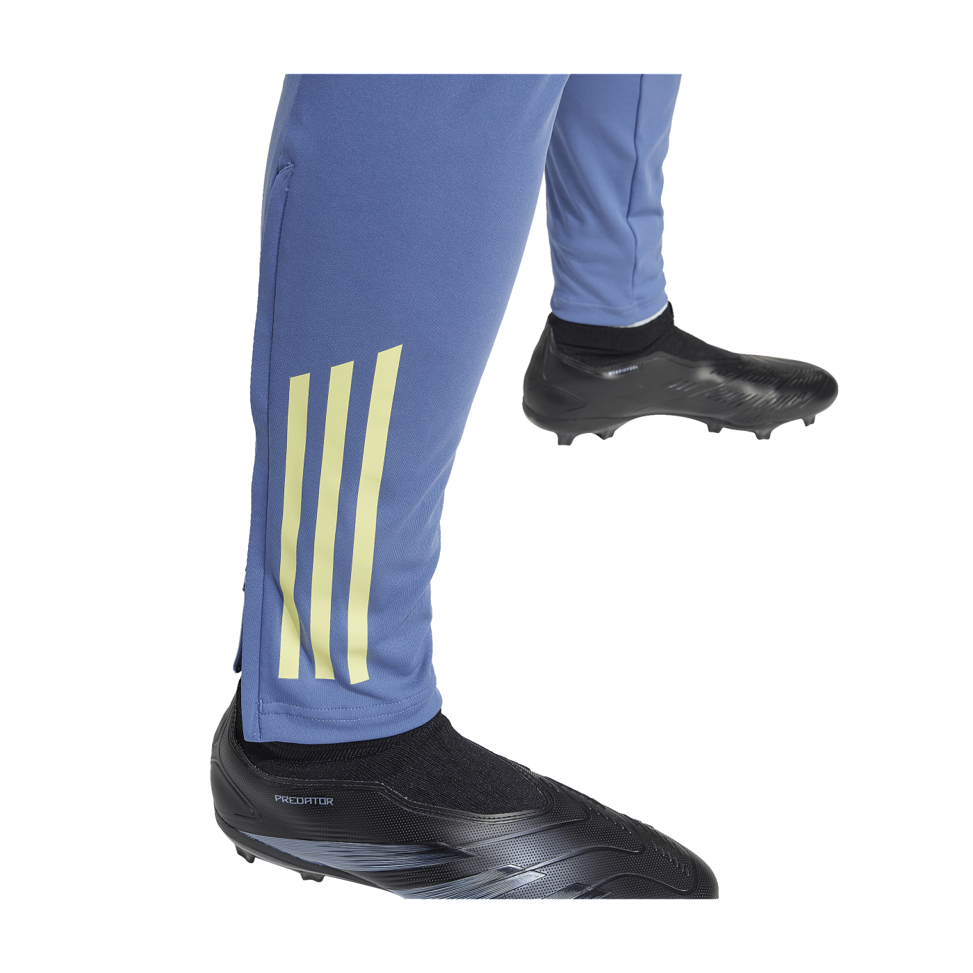 adidas Ajax Amsterdam Trainingshose Blau