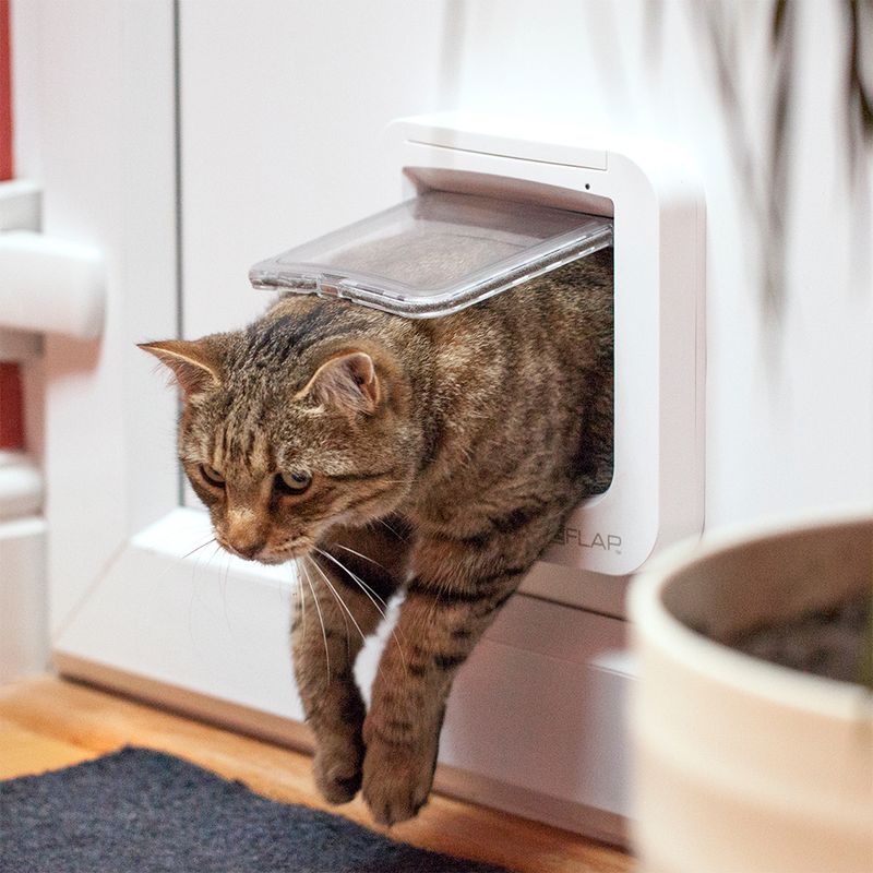 SureFlap Katzenklappe mit Chip zu TOP-Preisen