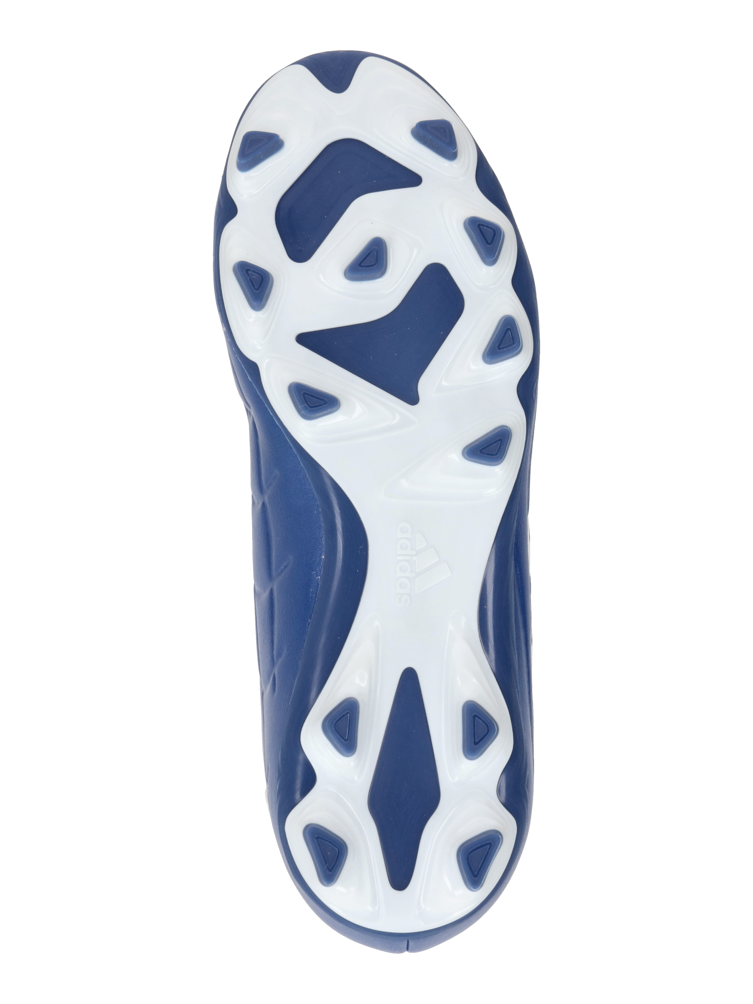 Athletic Shoes 'COPA PURE 2.4'