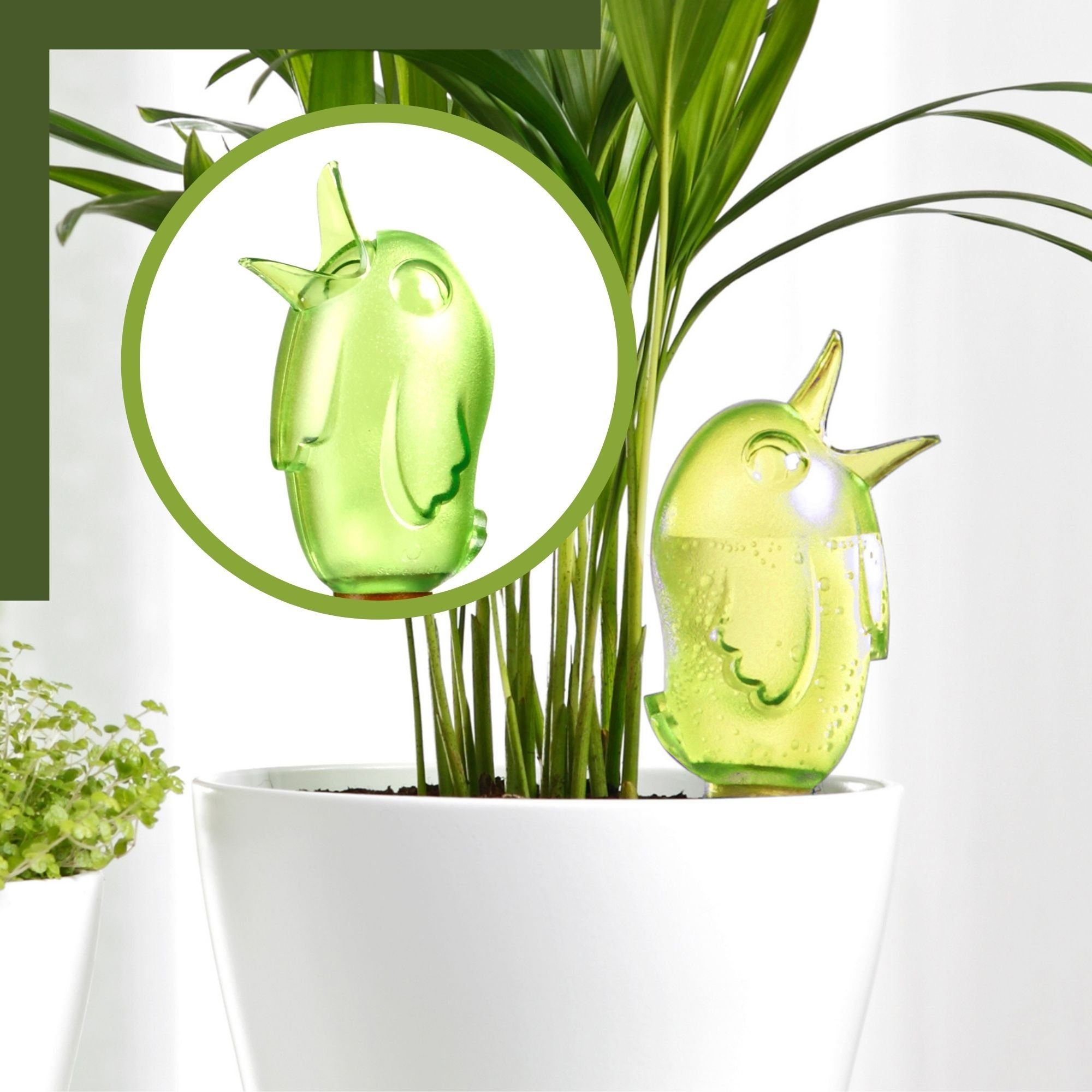 Scheurich Bewässerungssystem -, (Spar-Set, 4-tlg), Scheurich Wasserspender Bördy S 90 ml
