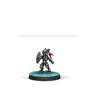 Morat Fireteam Pack (EN)