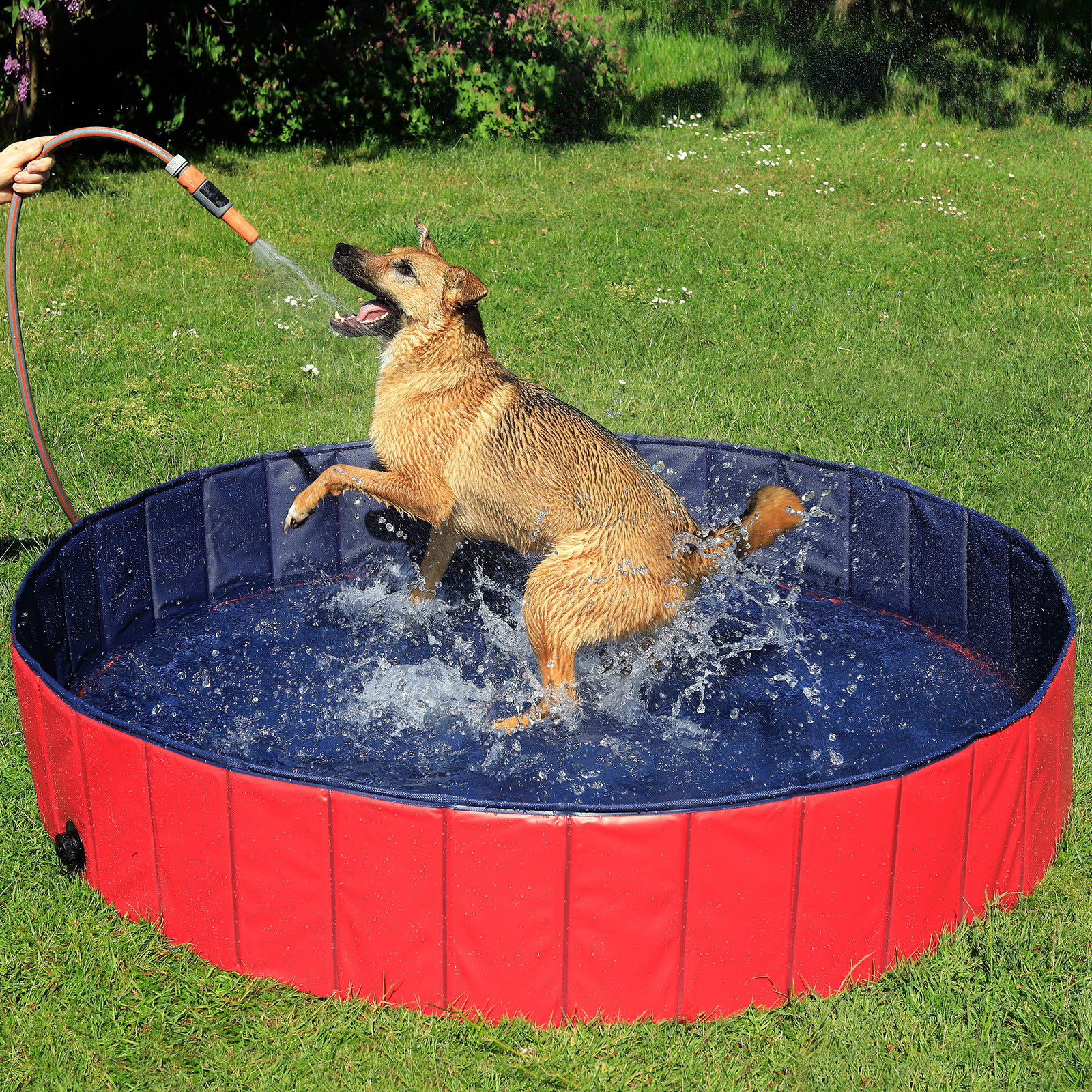 Lionto Wasserspielzeug Lionto 160 cm Hundepool mit Ablassventil - faltbar