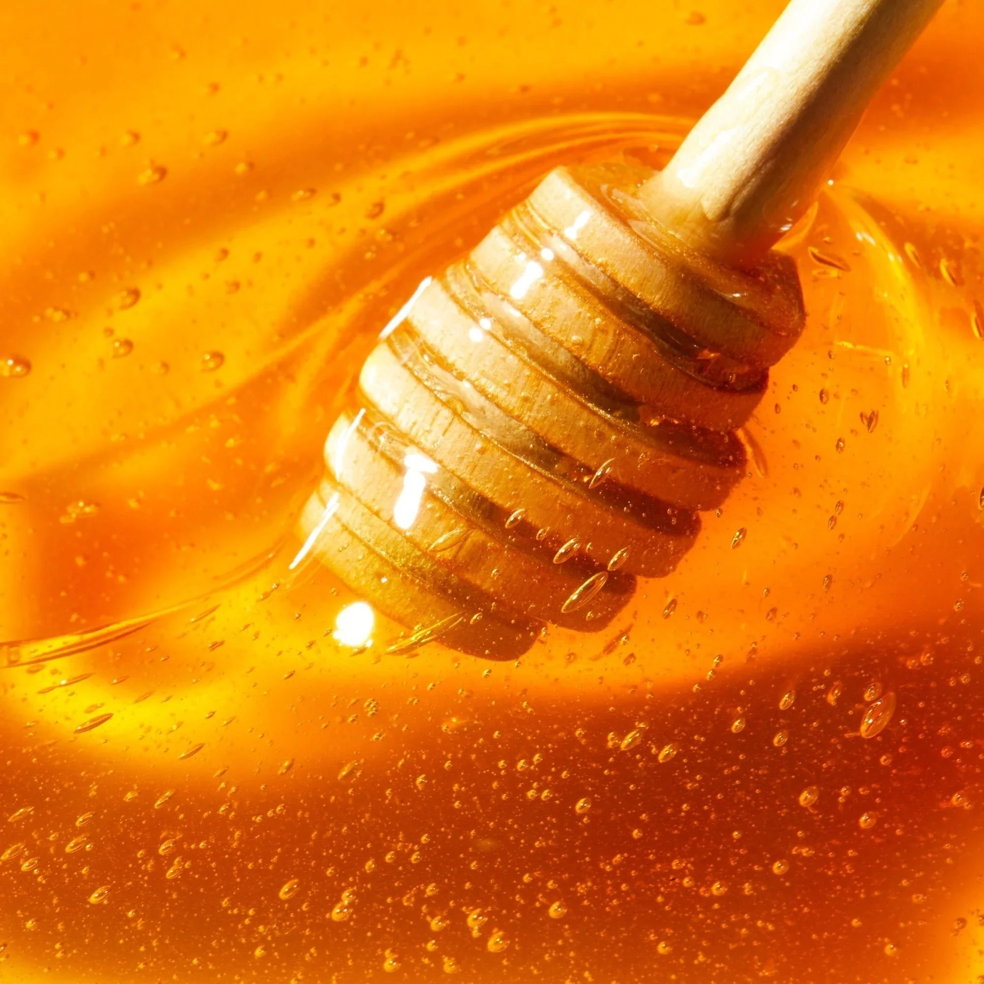 Soin brillant à lèvres Rêve de Miel Honey Gloss - Baume à lèvres