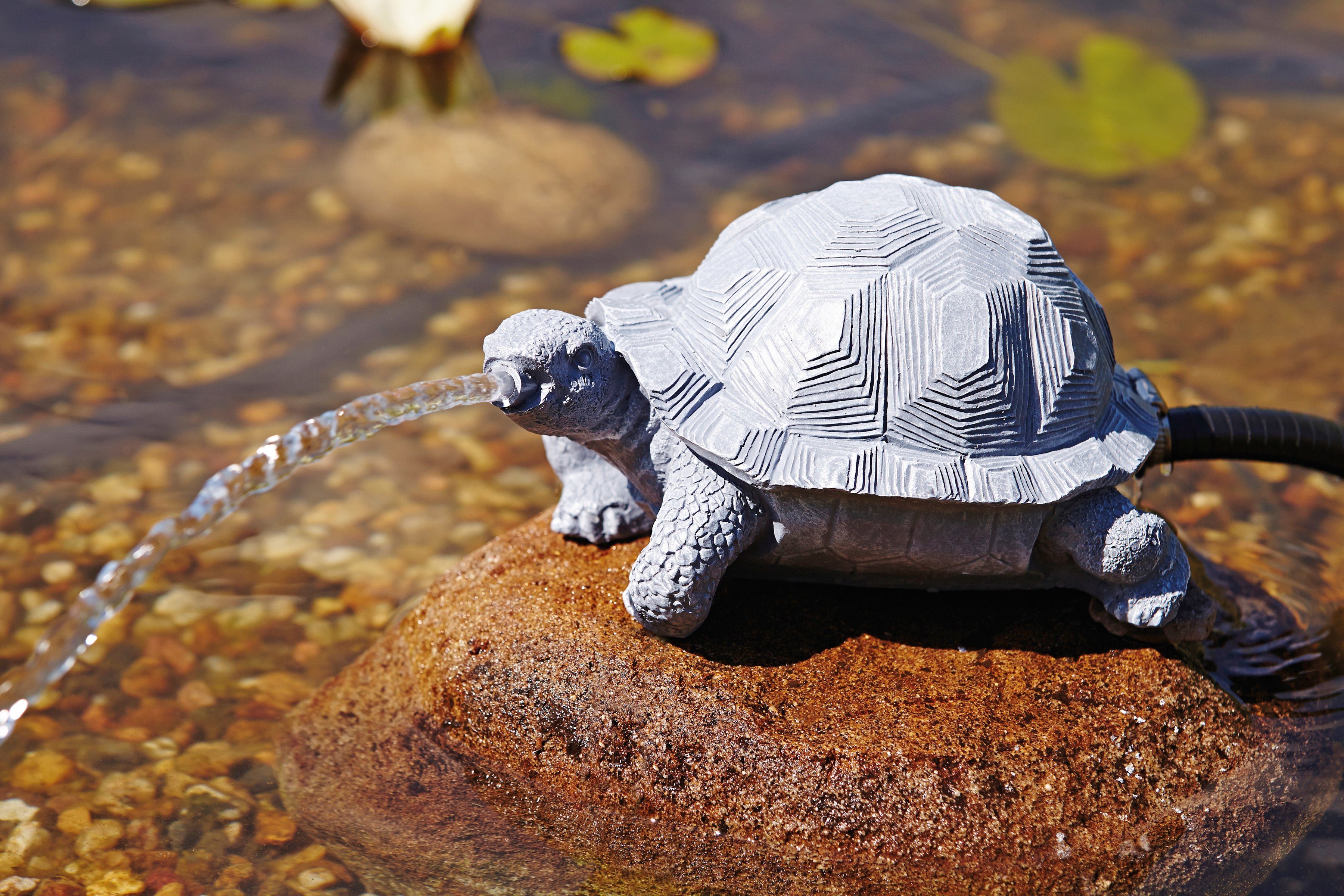 OASE Wasserspeier Schildkröte