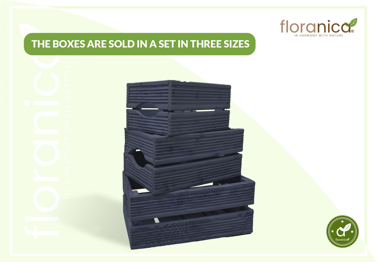 Pemicont Floranica Holzkiste Lärche Anthrazit 3er Set Gartendeko Aufbewahrungsboxen Obstkisten Blumentopf Holz Kiste Spielzeugkiste