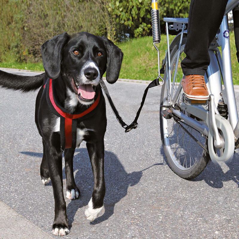 Trixie Fahrradzubehör Trixie Abstandhalter Biker-Set de Luxe