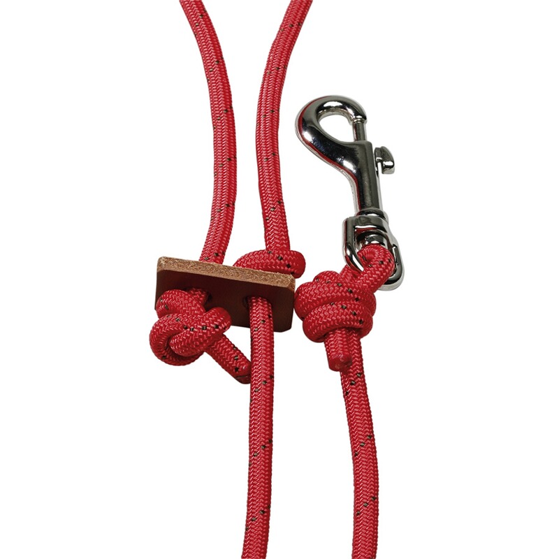 Horse Gear Beileine