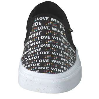 Vans WM Asher Skate Sneaker in schwarz