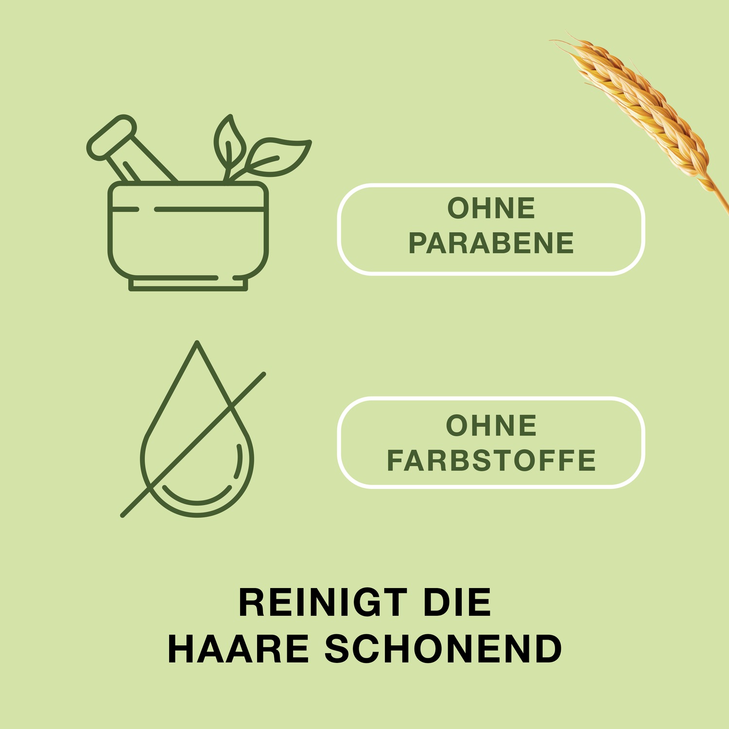 Shampoo f.kraftlos.dünner werdendes Haar
