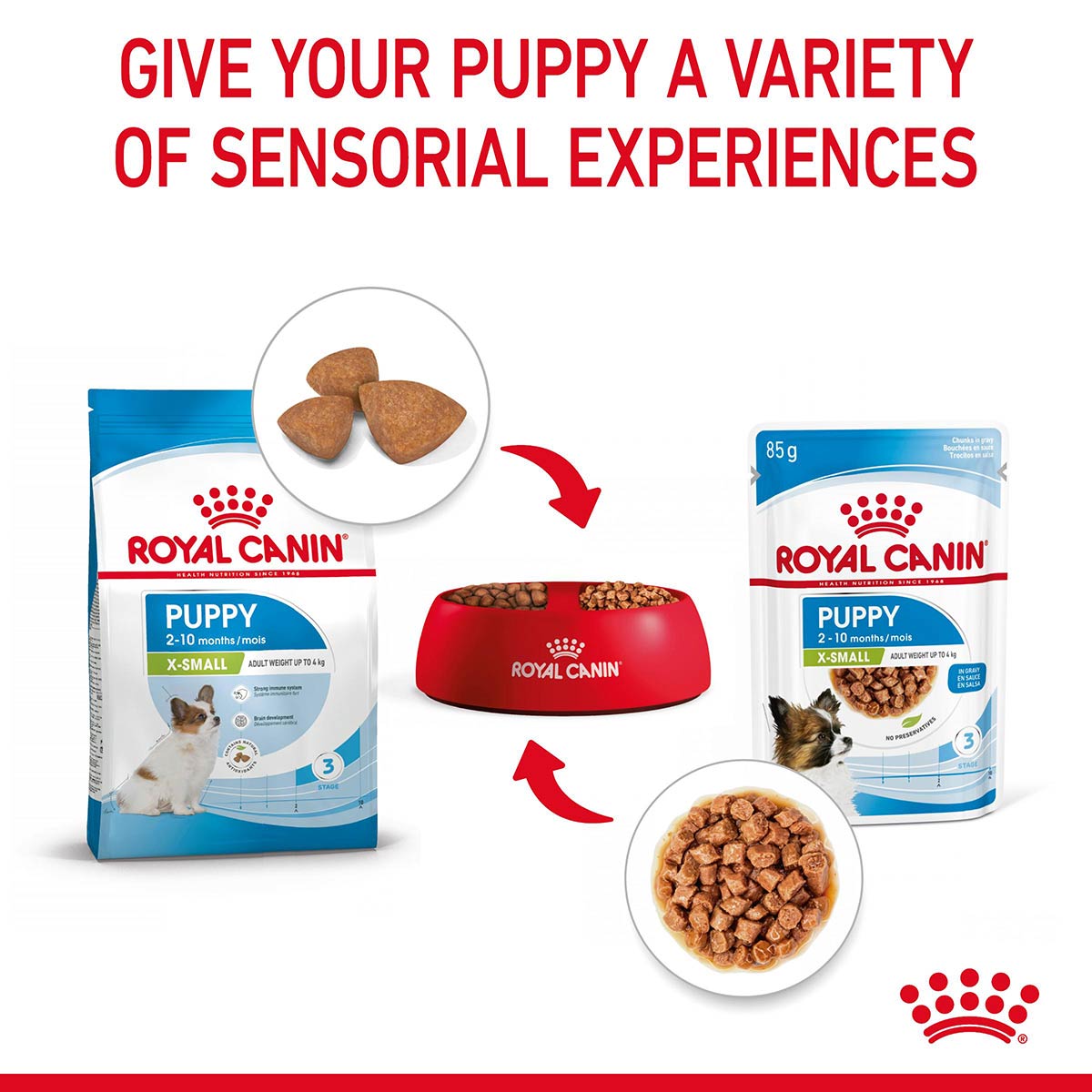Royal Canin SHN X-Small Puppy Gravy günstig kaufen bei ZooRoyal