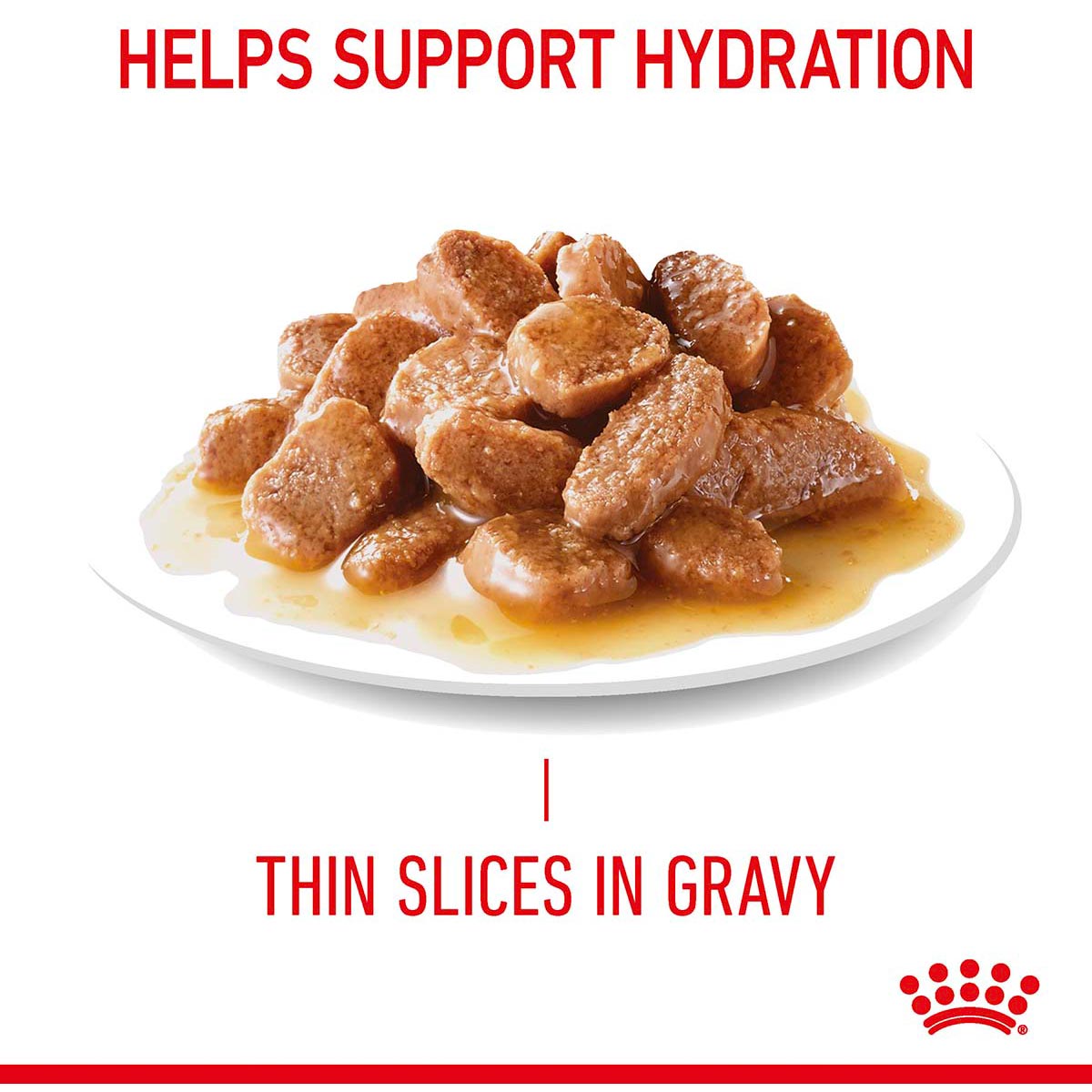 Royal Canin FCN Hairball Care Gravy günstig kaufen