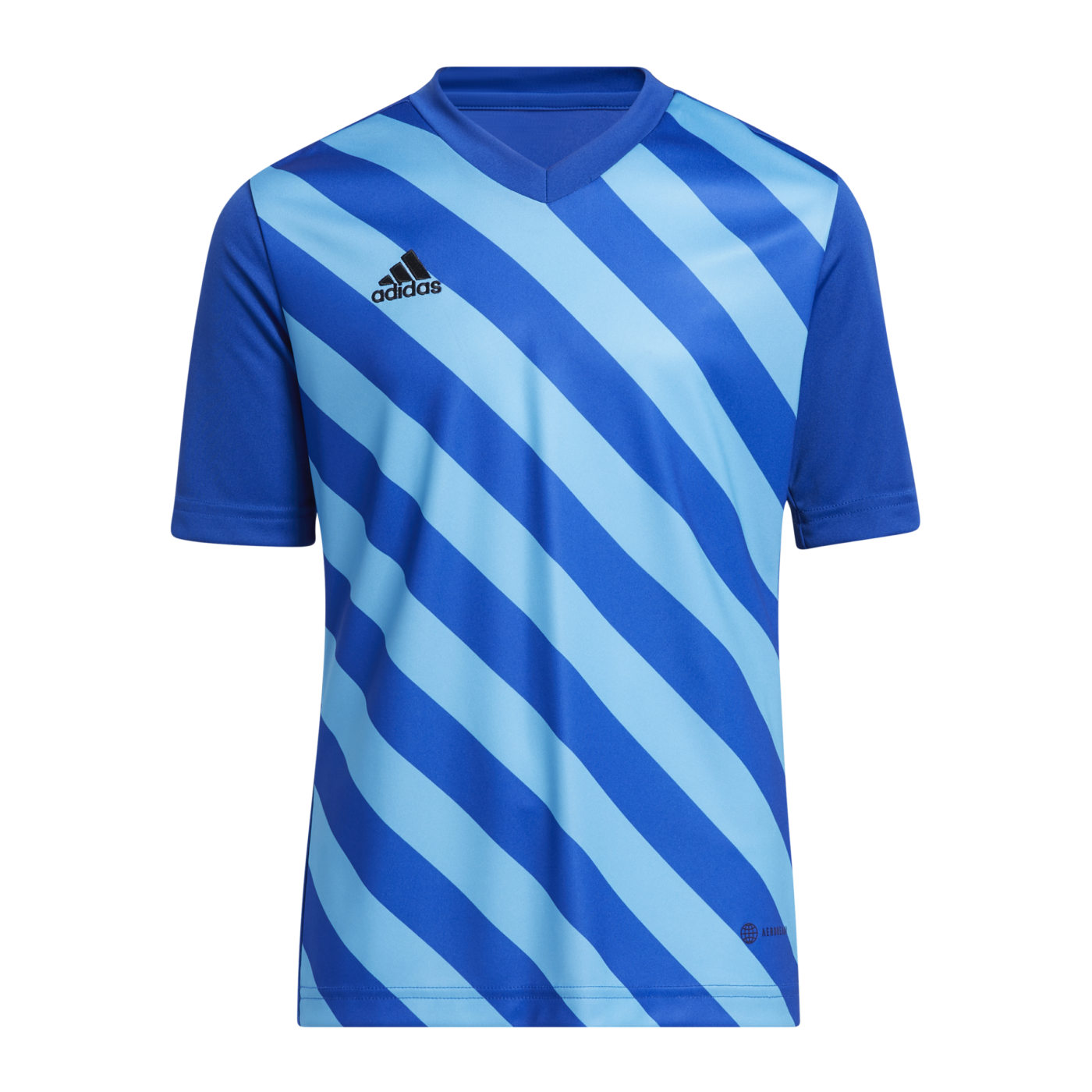 adidas Entrada 22 GFX Trikot Kids Blau