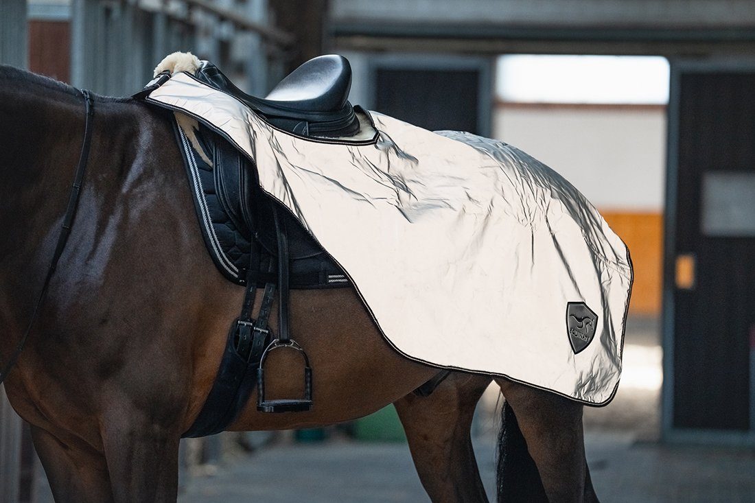 Equinate Pferde-Nierendecke reflektierende Ausreitdecke Xtreme-Visible wasserdicht und Innenfutter, atmungsaktiv