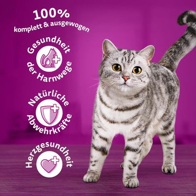 Whiskas 7+ Senior Huhn
