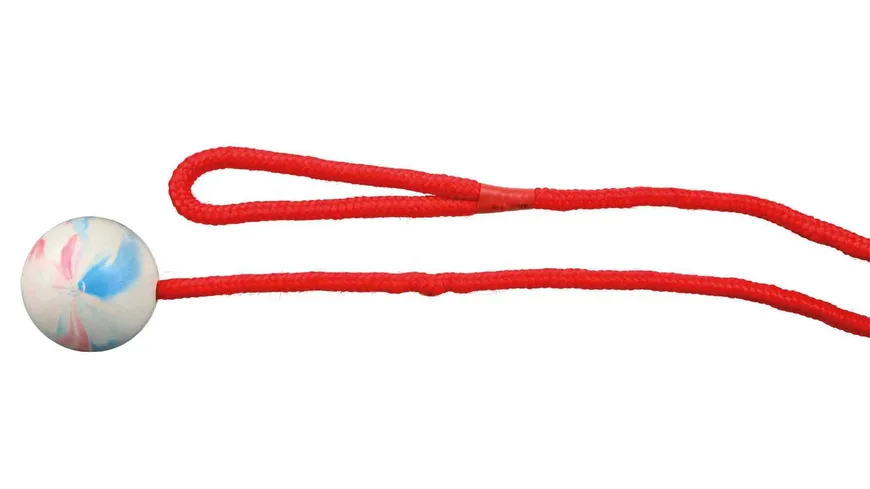 Trixie Naturgummi Ball am Seil ø 5 cm / 1,00 m Hunde Spielzeug