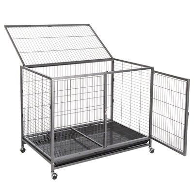 Zimmerkennel Tabby L