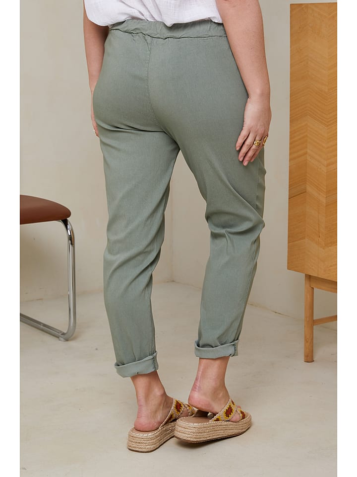Curvy Lady Hose in Grün günstig kaufen