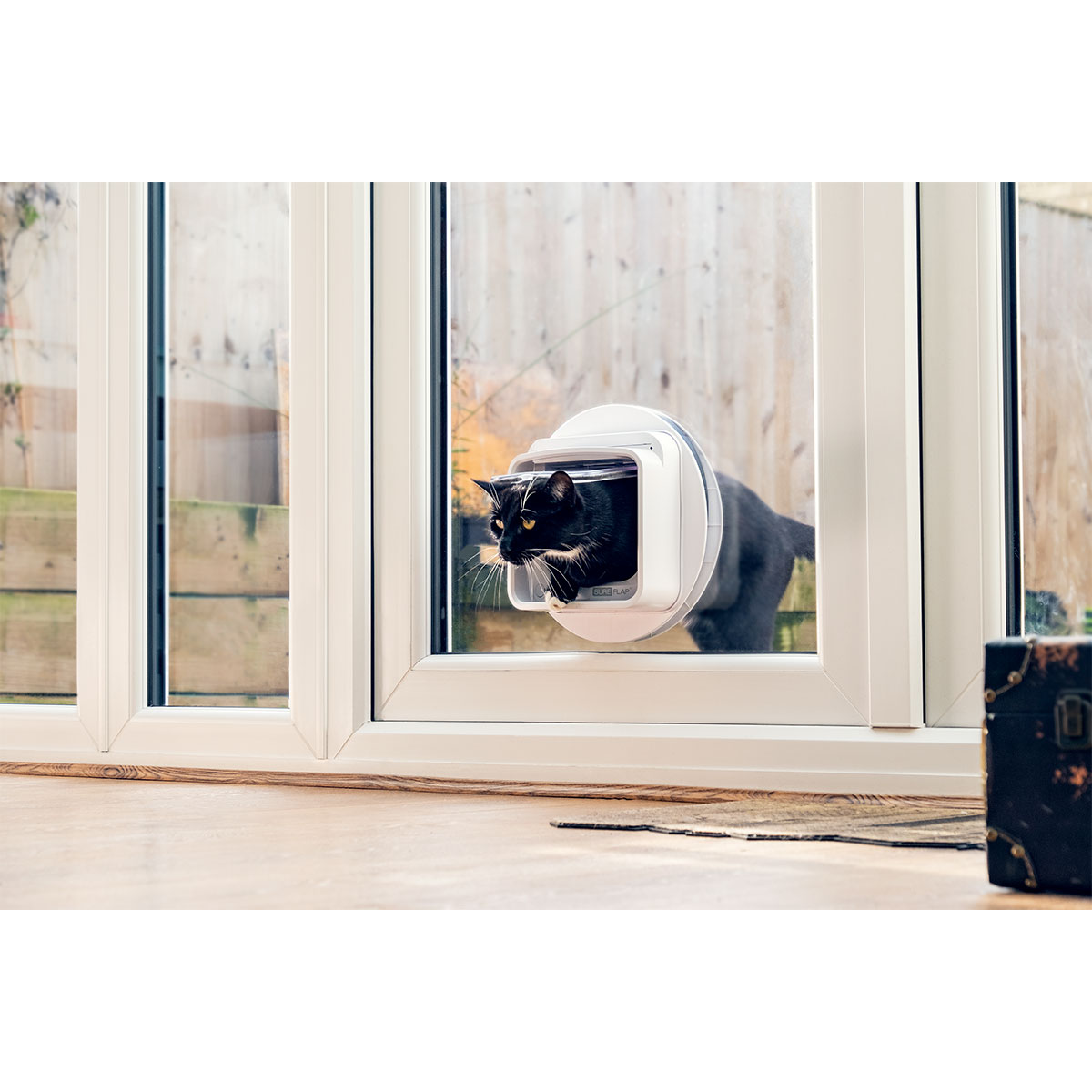 SureFlap Mikrochip Katzenklappe Connect + Hub kaufen