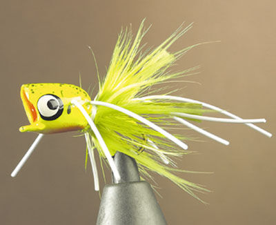JMC popper bass 50 popper h10 fly