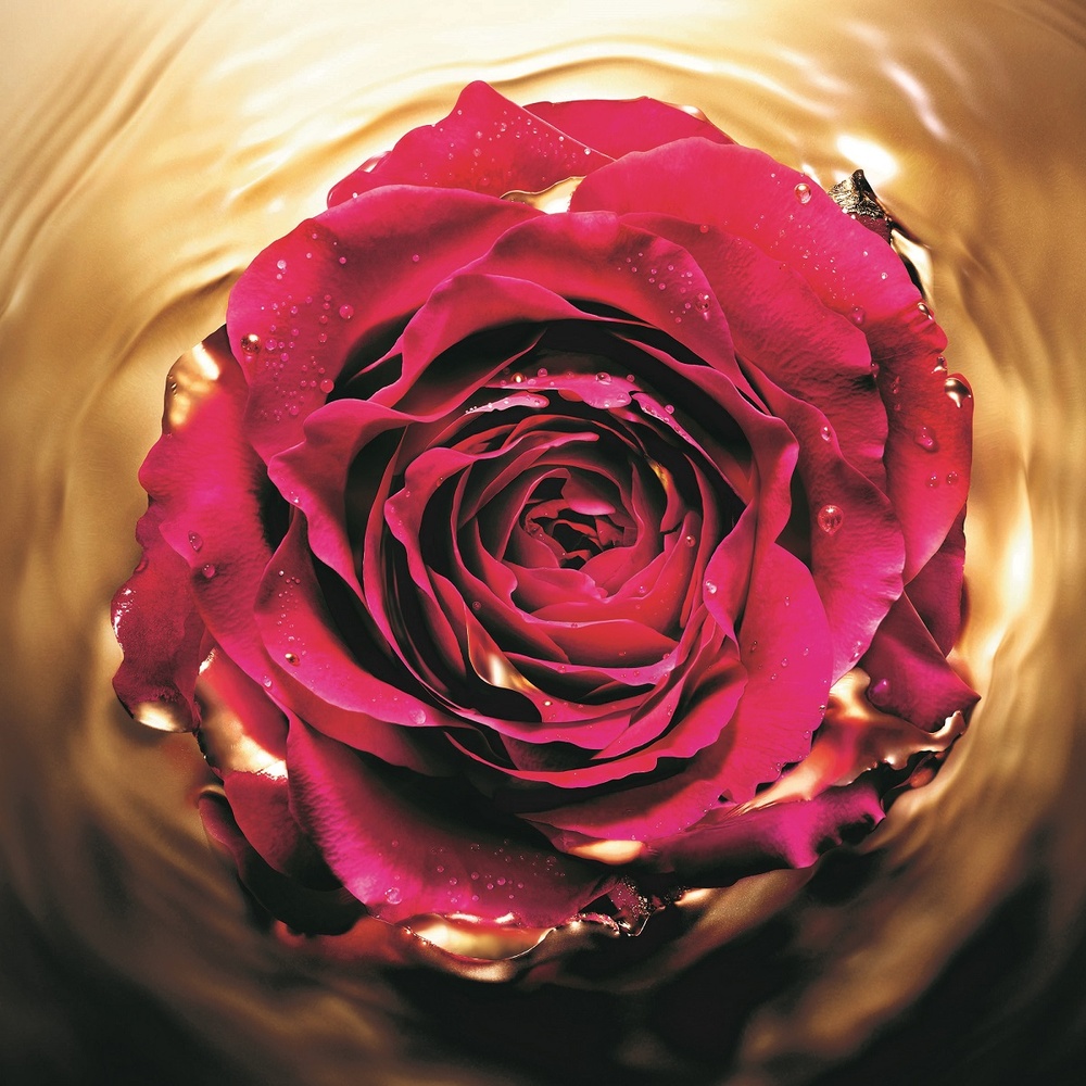 Lancôme Absolue Soin Regard Revitalisant aux Grands Extr aits de Rose