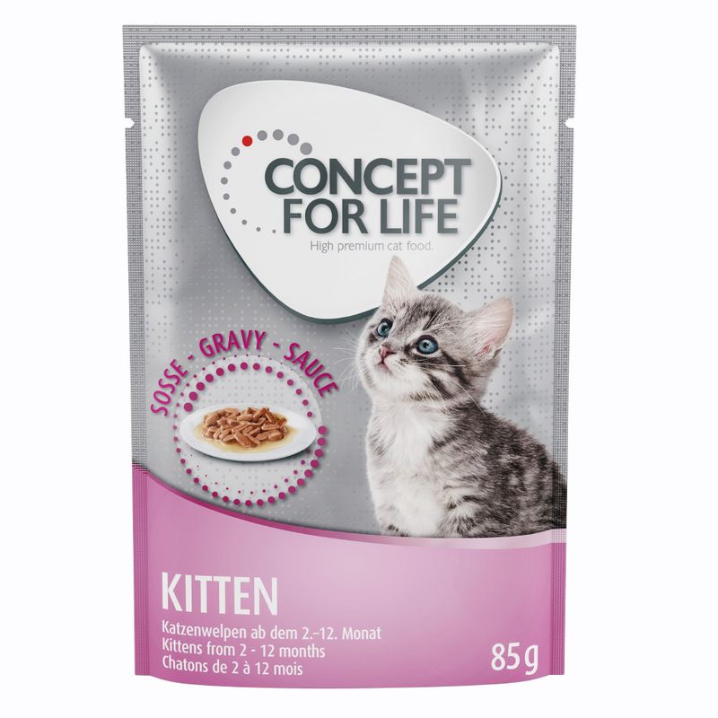 Probierpaket Concept for Life 12 x 85 g zu TOP-Preisen