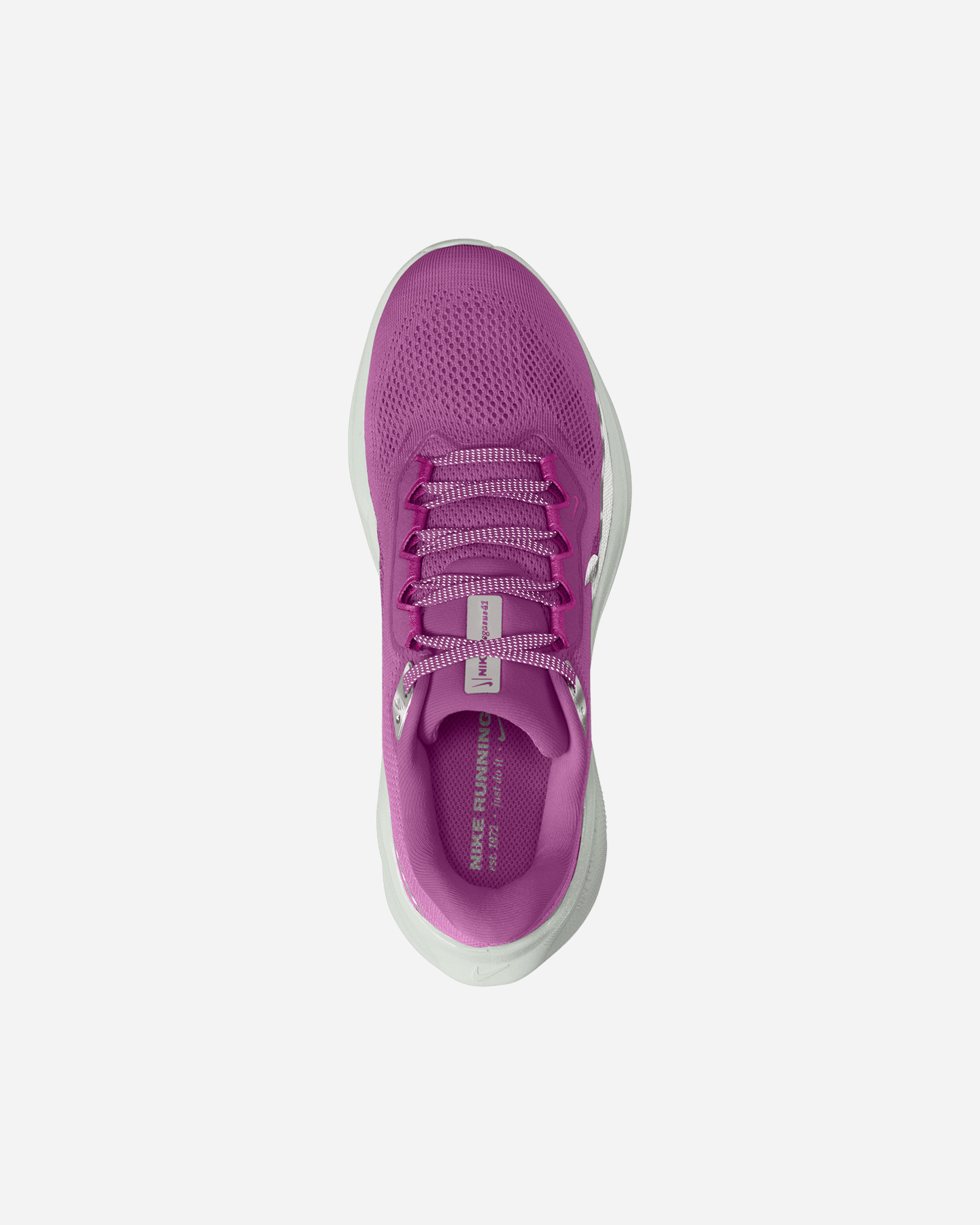 Scarpe Running Nike Pegasus 41 W FZ1626-500