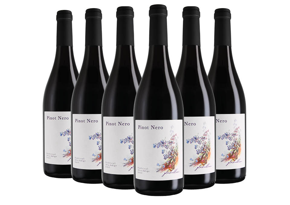 Südtirol - Alto Adige DOC Pinot Nero 2022 Blumenfeld 6 bouteilles de 0,75 ℓ
