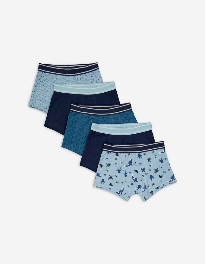 Trunks - Baumwoll-Mix 5er-Pack